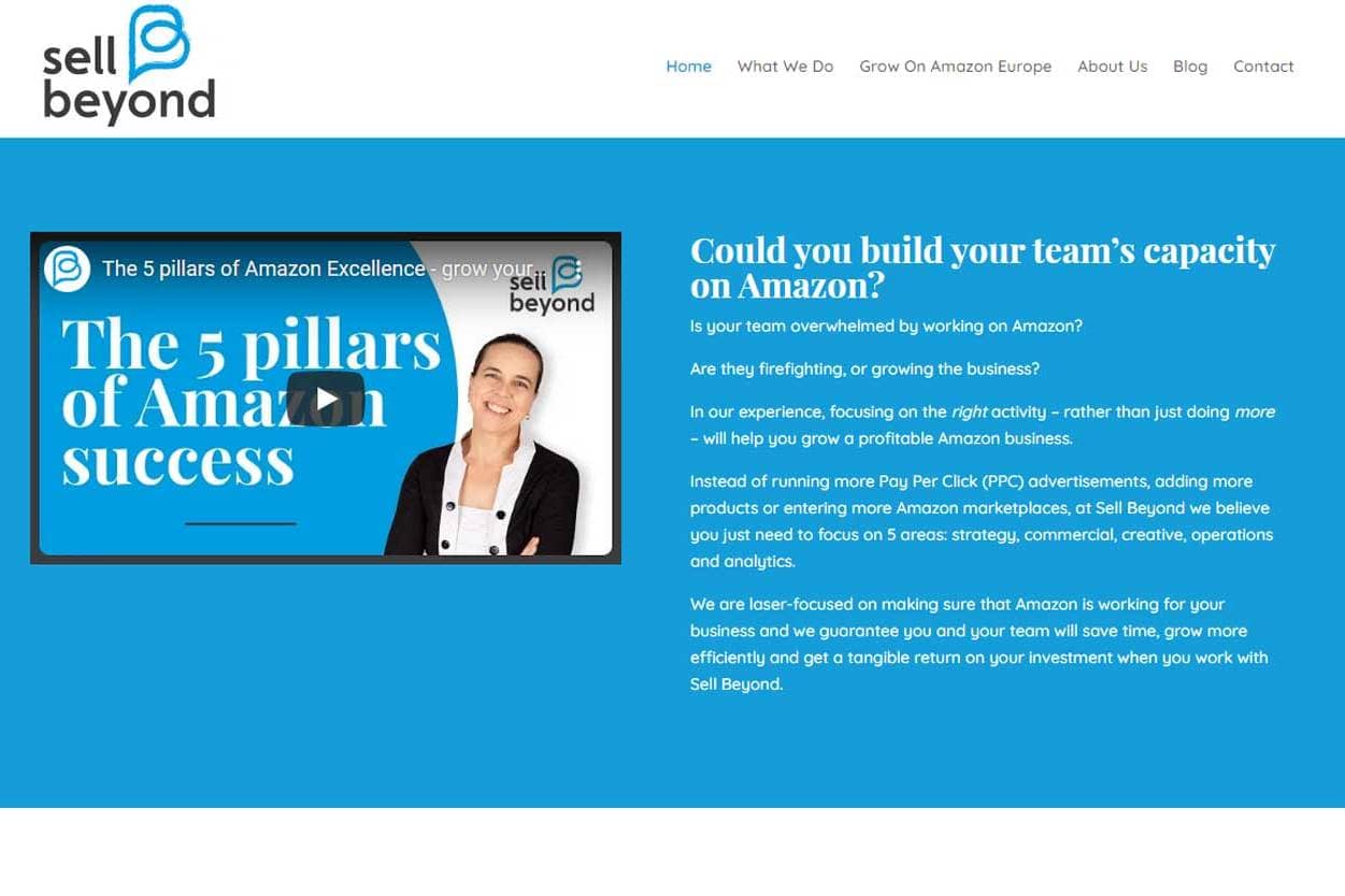 Amazon Marketing Consultant Client Case Study