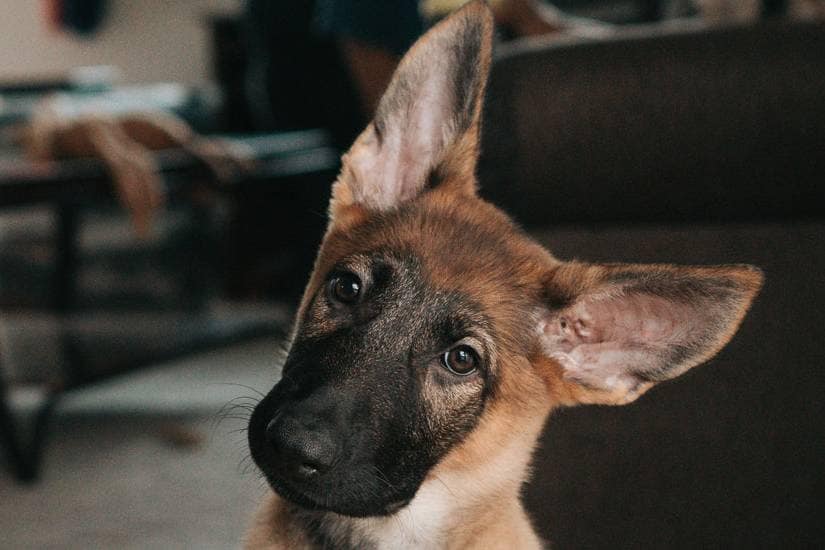 Marketing-Definition-Confused-about-marketing